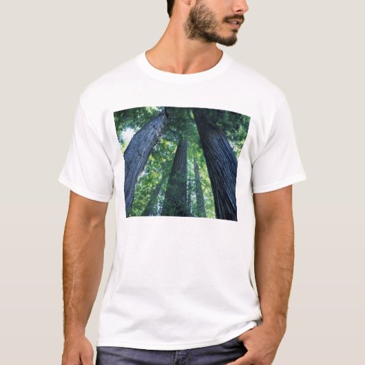 カリフォルニア州モンゴメリウッズ州立保護区 Tシャツ (正面)