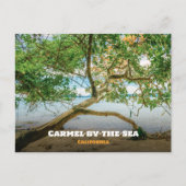 カリフォルニア州モントレー郡カーメル・バイ・ザ・シー ポストカード (正面)