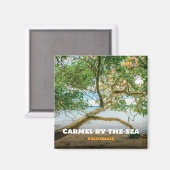 カリフォルニア州モントレー郡カーメル・バイ・ザ・シー マグネット (正面/裏面)