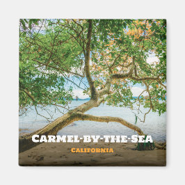 カリフォルニア州モントレー郡カーメル・バイ・ザ・シー マグネット