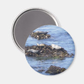 カリフォルニア州モントレー マグネット (正面/裏面)