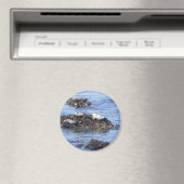 カリフォルニア州モントレー マグネット (インサイチュ (食洗機))