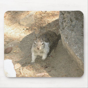 カリフォルニア州ヨセミテのかわいいリス マウスパッド
