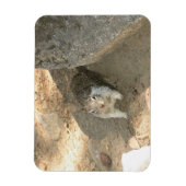 カリフォルニア州ヨセミテのかわいいリス マグネット (縦)