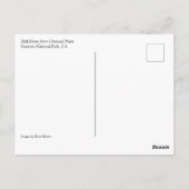 カリフォルニア州ヨセミテのオルムステッドポイントからハーフドーム ポストカード (裏面)