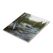 カリフォルニア州ヨセミテのキャンプ場でツオルムネ川を渡る タイル (側面)