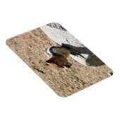 カリフォルニア州ヨセミテのチムンク マグネット (右側)