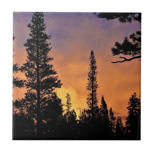 カリフォルニア州ヨセミテのトゥールムネメドウズに沈む夕日 タイル (正面)