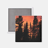 カリフォルニア州ヨセミテのトゥールムネメドウズに沈む夕日 マグネット (正面/裏面)