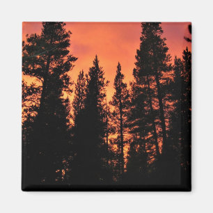 カリフォルニア州ヨセミテのトゥールムネメドウズに沈む夕日 マグネット