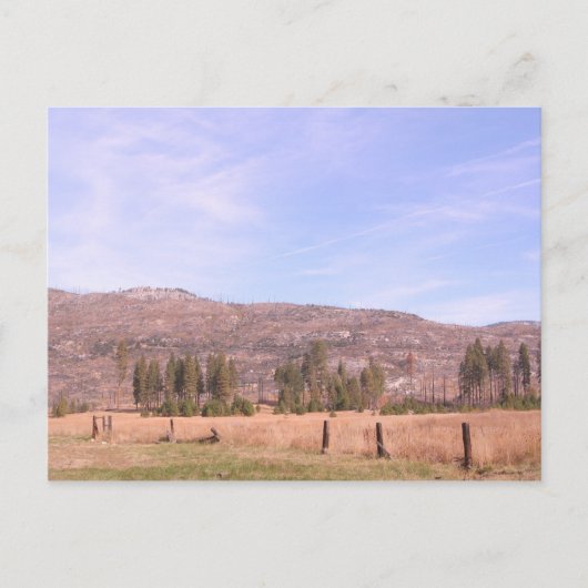 カリフォルニア州ヨセミテ国立公園ポストカード ポストカード (正面)