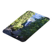 カリフォルニア州ヨセミテ国立公園ヴェルナル秋 マグネット (左側)