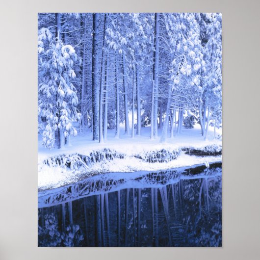 カリフォルニア州ヨセミテ国立公園。アメリカ。フレッシュ ポスター (正面)