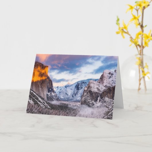 カリフォルニア州ヨセミテ国立公園 カード (黄色い花)