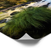 カリフォルニア州ヨセミテ国立公園 ポスター (角)