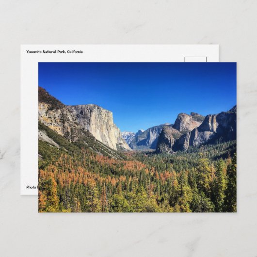 カリフォルニア州ヨセミテ国立公園 ポストカード (正面/裏面)