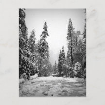 カリフォルニア州ヨセミテ国立公園