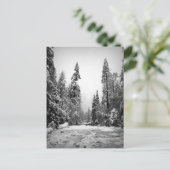 カリフォルニア州ヨセミテ国立公園 ポストカード (スタンド正面)