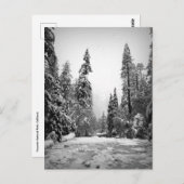 カリフォルニア州ヨセミテ国立公園 ポストカード (正面/裏面)