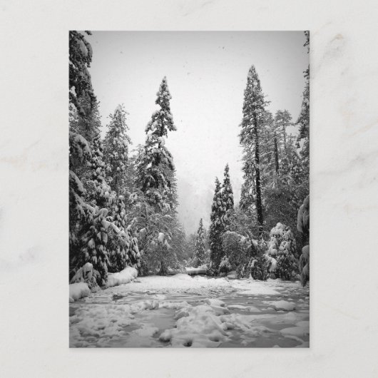 カリフォルニア州ヨセミテ国立公園 ポストカード (正面)