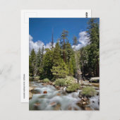 カリフォルニア州ヨセミテ国立公園 ポストカード (正面/裏面)