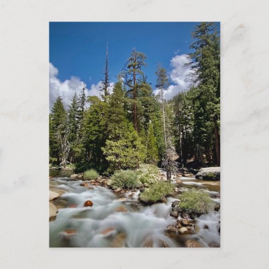 カリフォルニア州ヨセミテ国立公園 ポストカード (正面)