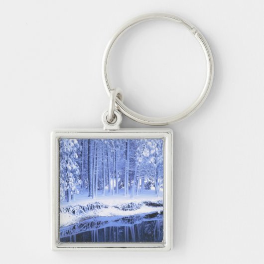 カリフォルニア州ヨセミテ国立公園。米国フレッシュ キーホルダー (正面)