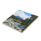 カリフォルニア州ヨセミテ州トゥオルムネメドウズのカテドラルピーク タイル (側面)