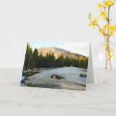 カリフォルニア州ヨセミテ州トゥールムネメドウズのレンバルトドーム カード (黄色い花)