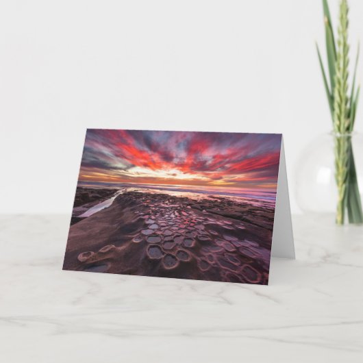 カリフォルニア州ラジョラのタイドプール カード (正面)