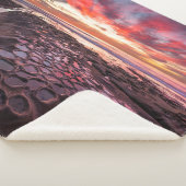 カリフォルニア州ラジョラのタイドプール シェルパブランケット (3/4)