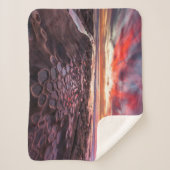 カリフォルニア州ラジョラのタイドプール シェルパブランケット (正面)