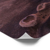 カリフォルニア州ラジョラのタイドプール ポスター (角)