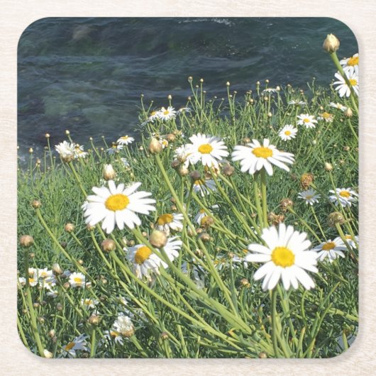 カリフォルニア州ラジョラコーブのワイルドフラワーズ スクエアペーパーコースター (正面)