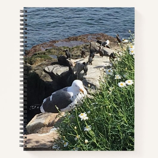 カリフォルニア州ラジョラコーブ ノートブック (正面)