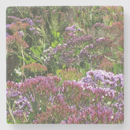 カリフォルニア州ラジョラコーブ、ワイルドフラワーズ ストーンコースター