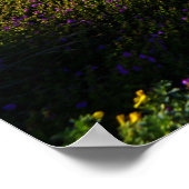 カリフォルニア州ラジョーラ ポスター (角)