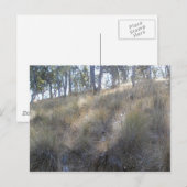 カリフォルニア州リバモアの近くの冬の丘の斜面 ポストカード (正面/裏面)