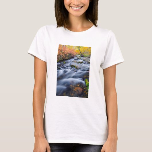 カリフォルニア州ルンディクリークに沿った秋 Tシャツ (正面)