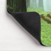 カリフォルニア州レッドウッズ州公園の森林の道。 マウスパッド (コーナー)