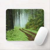 カリフォルニア州レッドウッズ州公園の森林の道。 マウスパッド (マウス)