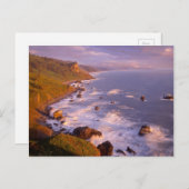 カリフォルニア州レッドウッズ海岸線 ポストカード (正面/裏面)