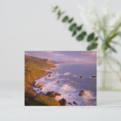 カリフォルニア州レッドウッズ海岸線 ポストカード (スタンド正面)