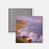 カリフォルニア州レッドウッズ海岸線 マグネット (正面/裏面)