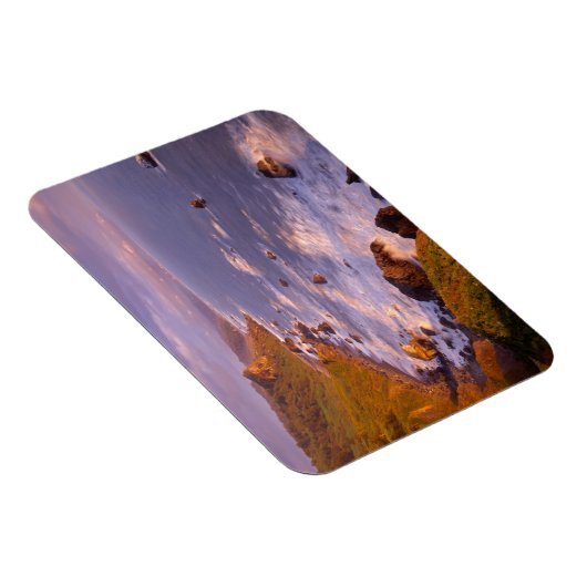 カリフォルニア州レッドウッズ海岸線 マグネット (右側)