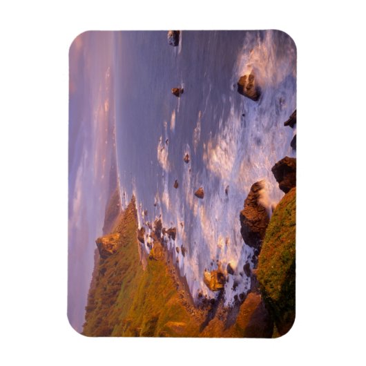 カリフォルニア州レッドウッズ海岸線 マグネット (縦)