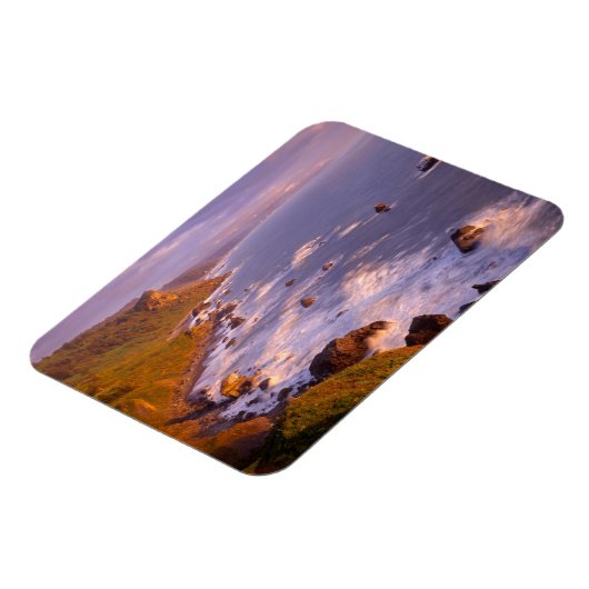 カリフォルニア州レッドウッズ海岸線 マグネット (左側)