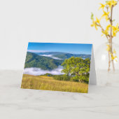 カリフォルニア州レッドウッド国立公園 カード (黄色い花)