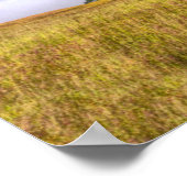 カリフォルニア州レッドウッド国立公園 ポスター (角)