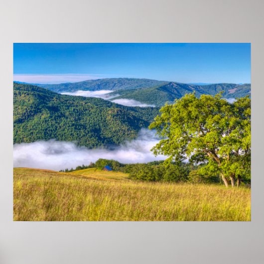 カリフォルニア州レッドウッド国立公園 ポスター (正面)